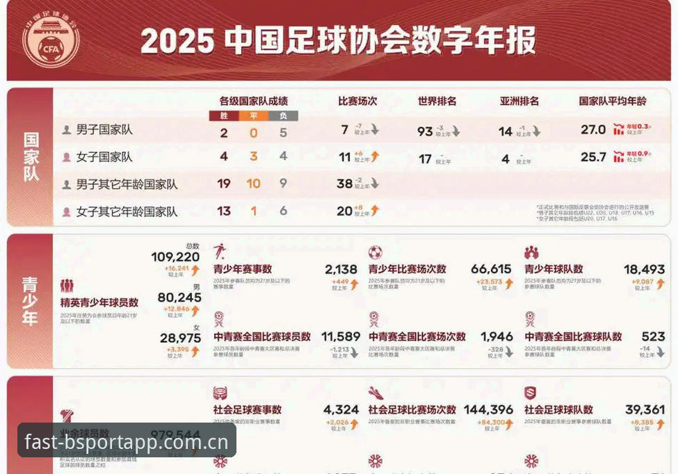 5大维度解读足协第三批禁足名单：65人受罚背后的行业变革