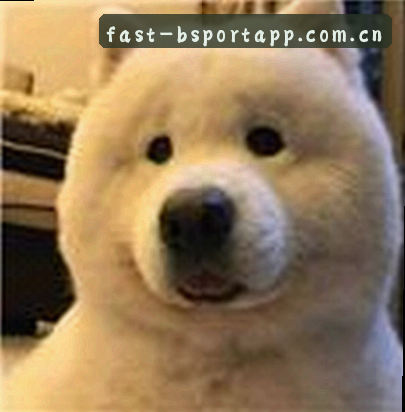 小李