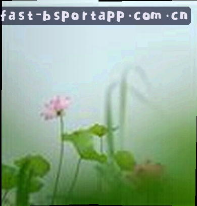 小雅