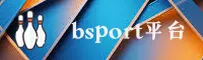 想找bsportapp的登录入口？官方在线通道让你快速进站。